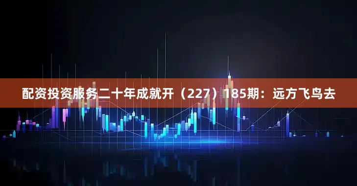 配资投资服务二十年成就开（227）　　185期：远方飞鸟去